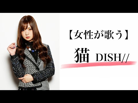 猫 / DISH//【女性が歌うCOVER】