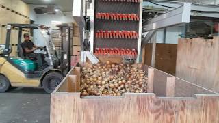 Equipment Capital - Box Filler