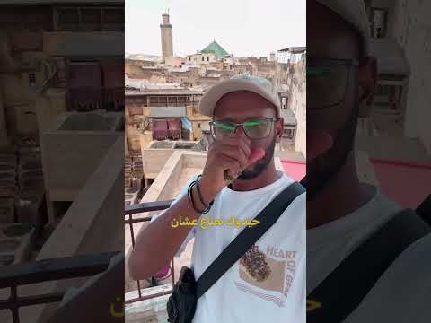 أقدم مطبغة جلود في العالم دار الدباغ في فاس    سياحة