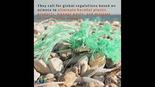 High Ambition Coalition Urges Binding Treaty on Plastic Pollution
