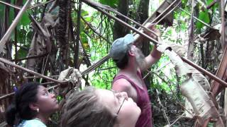 Secure Water - Solar Well Pump & Gravity Feed System - Maya Mountain Research Center, Belize