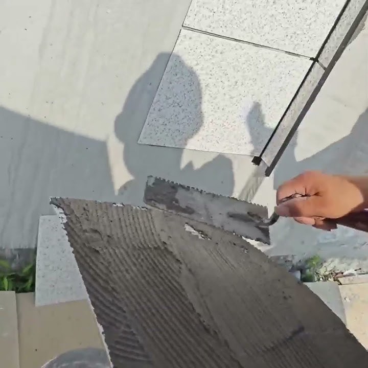 0bf0bf1f138e4aadbf2411e8e11d404e