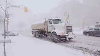 💨 Cold Howling Snowstorm Ambience in the Mountains of Austria /  Perfect for Sleeping and Relaxing screenshot 5