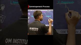 Gametogenesis Process | Spermatogenesis vs Oogenesis | Class 12 Biology | By Pranjal Bhaiya #Shorts