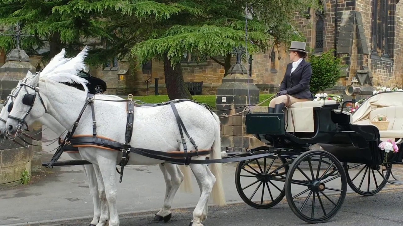 Cleveland Carriage Company Victoria Carriage YouTube