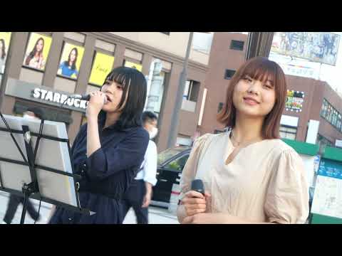 AK2 (あかねん×あき) cover 『猫 / DiSH//』金山駅路上ライブ