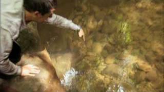 Man vs. Wild - Dominican Republic screenshot 2