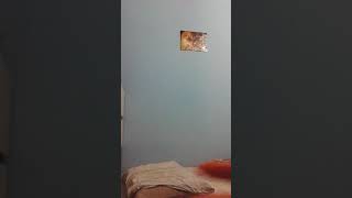 Eu Matando Barata Kkkk