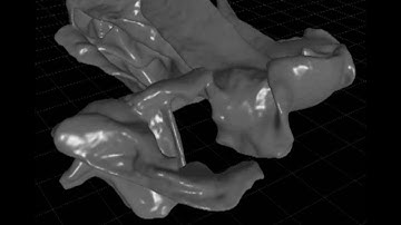 RealFlow Fluid Sim with Fusion