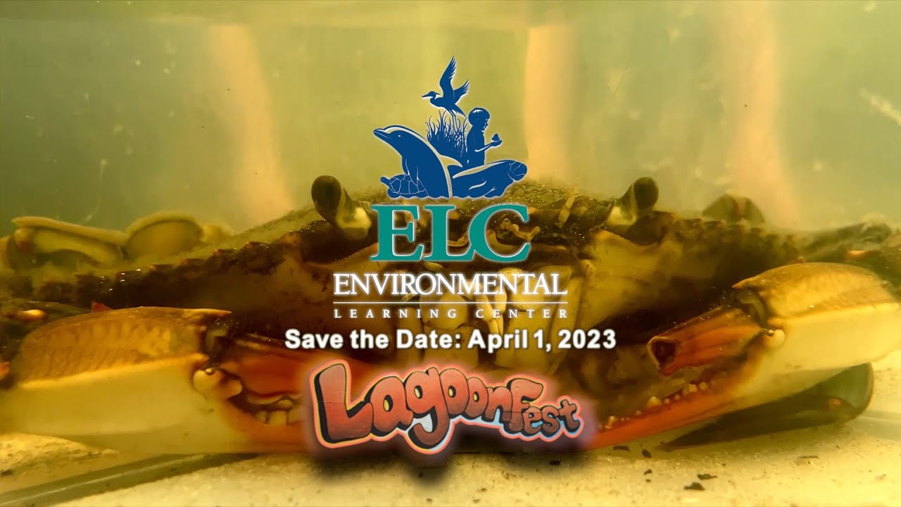 ELC's LagoonFest 2022