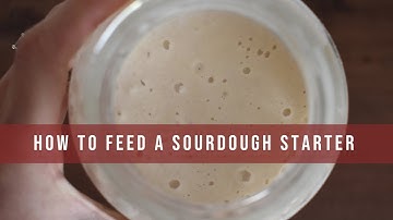 How to Feed a Sourdough Starter