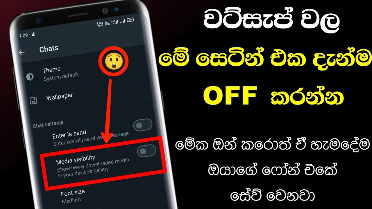 how-to-stop-auto-saving-whatsapp-media-to-phone-gallery-chiran-tech