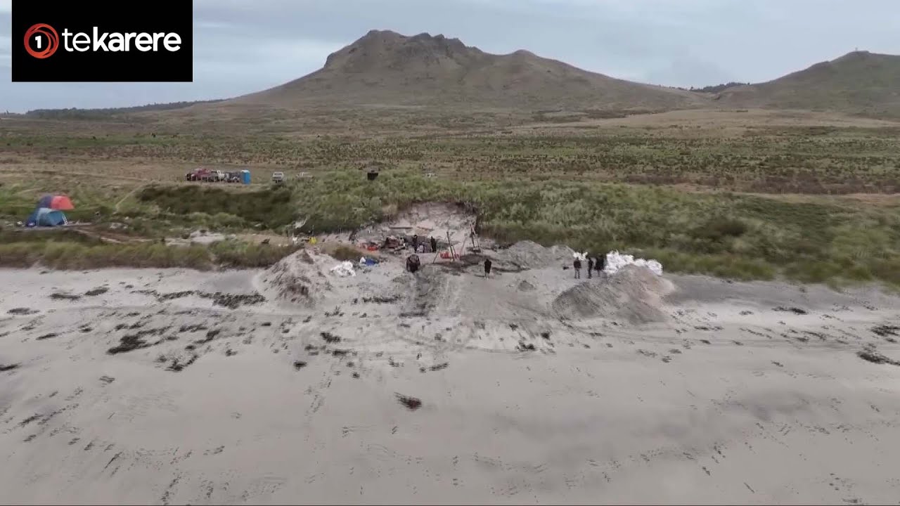 Находка древнего вака подтверждает связь мориори с прибытием в середине XV века
