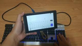 Using Nintendo Switch with USB Keyboard Undocked