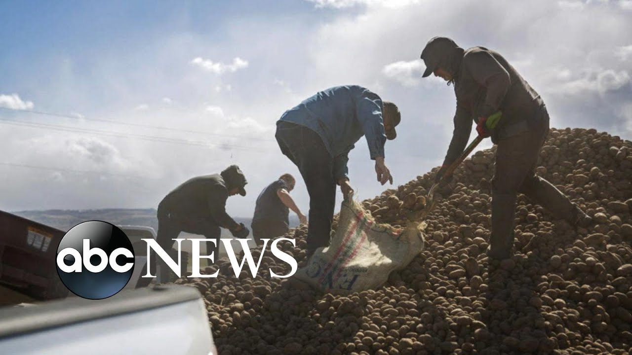 The virus’ disruption on the country’s food supply | WNT