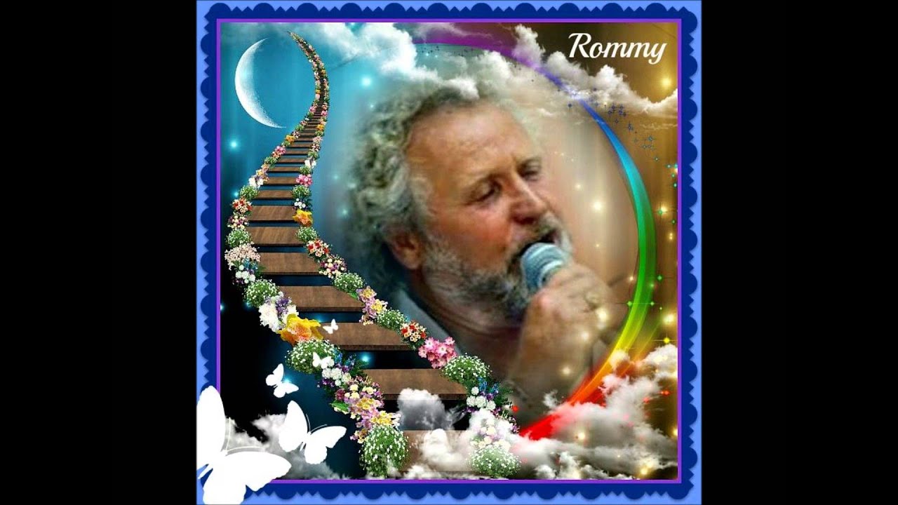 ROMMY   VOOR IEDER HART DAT EENZAAM IS