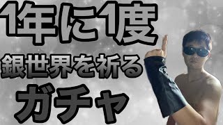 【ドラクエタクト】１年に1度銀世界をを喜べるSWガチャ30連。