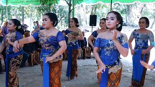 Download Lagu 🔴 LIVE REC. KOLEKSI TAYUB PALING GAYENG MP3