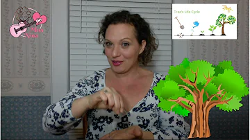 Children's Rhyme: Planting A Tree - Fingerplay and Chant for Preschool Kids & Toddlers