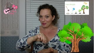 Children's Rhyme: Planting A Tree  Fingerplay and Chant for Preschool Kids & Toddlers