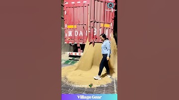 This Grain Unload is Oddly SATISFYING & Makes Me Hungry! 😂🌾 #oddlysatisfying #asmr #farming