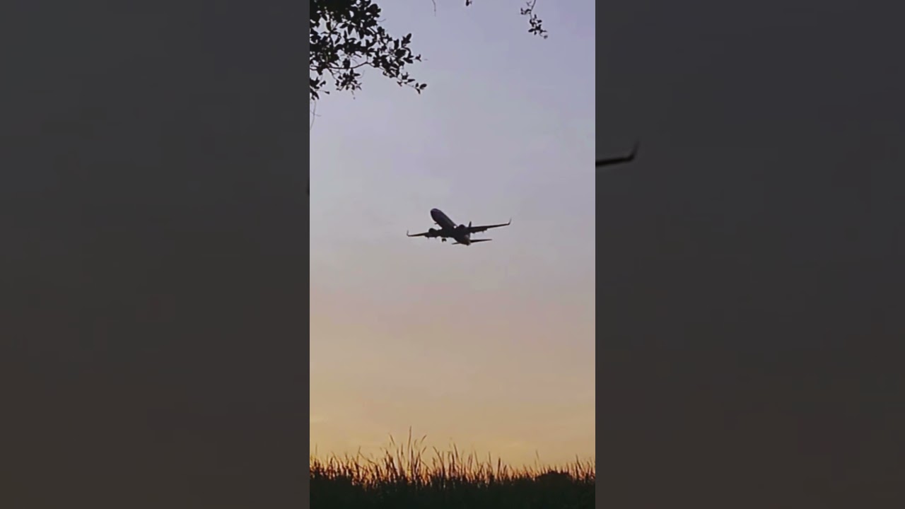 Plane flying sunset 