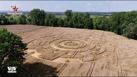 Vòng tròn kỳ lạ trên cánh đồng lúa mì tại Đức hút khách