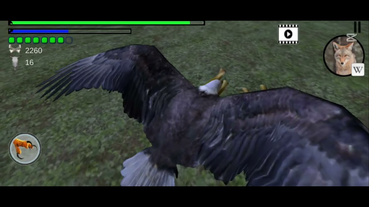 Eagle Simulator Hunting – Can I Defeat the Wolf?! 🐺🔥🦅