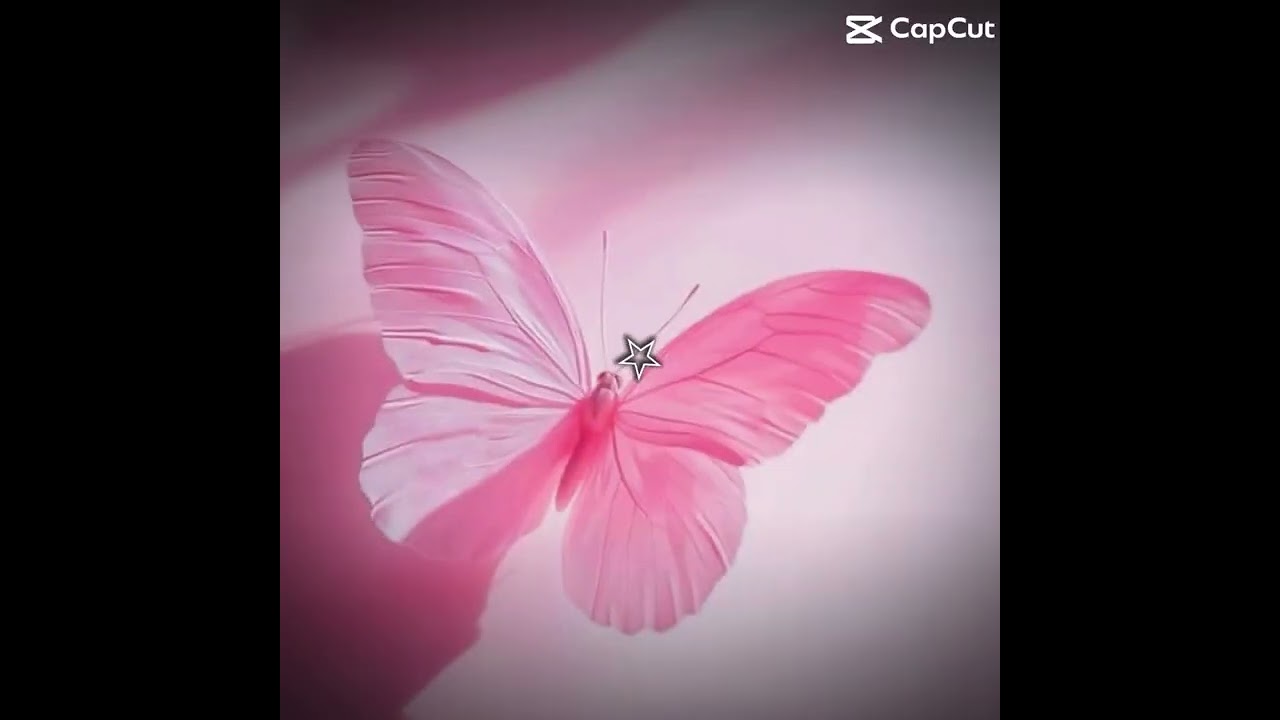 Pink core (music is not mine and credits to owner of template)