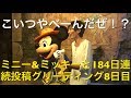 ミニー&ミッキーと184日連続投稿グリーティング8日目〜こいつやべーんだぜ！？〜 my Disney tour day 8 I meet minnie mouse & mickey mouse