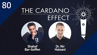 Ada Meets COTI: The Ultimate Power Grid of Payments | TCE 80