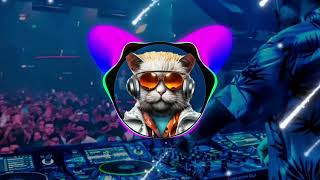 DJ ARE YOU READY WOK WOK WOK - VIRAL TIK TOK FULL BASS