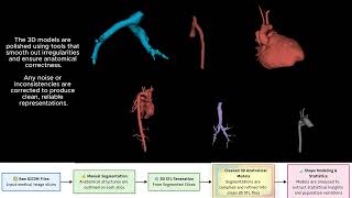Simplified - Early-Stage Pediatric Cardiology Anomaly Detection