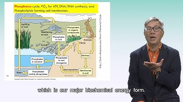 ENSC 2270 Lecture 1 Video 4: Chemical Cycles on Earth