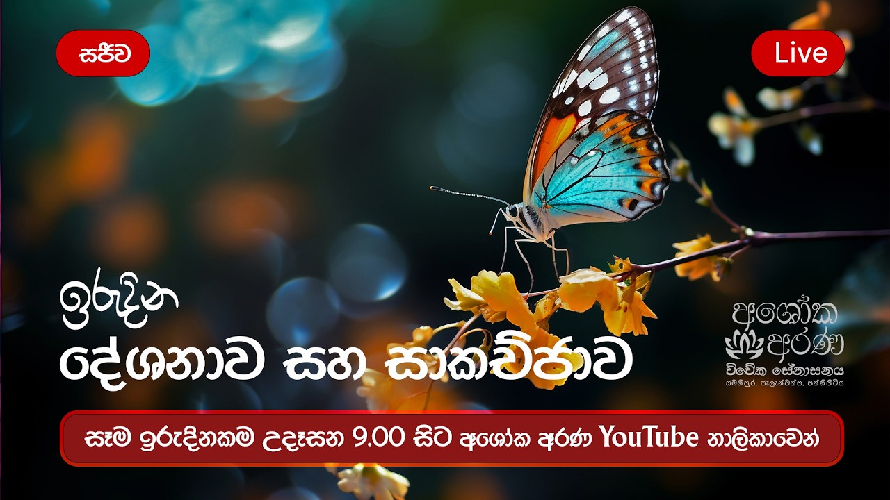 ධර්ම දේශනාව | 2026 පෙබරවාරි 22 ඉරිදා | #බේරුවල_රාහුල #අශෝක_අරණ #අලුත්ම_බණ Thero අශෝක අරණ