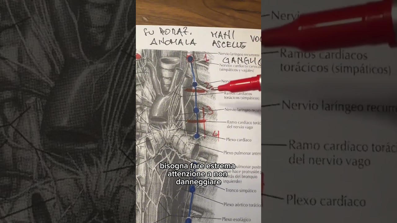 Sudorazione eccessiva- prima parte