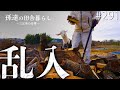 【大収穫】薪割りで思わぬ副産物GET‼︎薪の中から大量の〇〇が…‼︎ #291