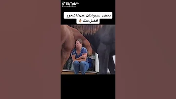 ورحمه قلبي اللي مات من حبك من اول ضمه فيديو حلو جدا حطو لايك في الشركه عندي في كان اشهد لك كل جديد 