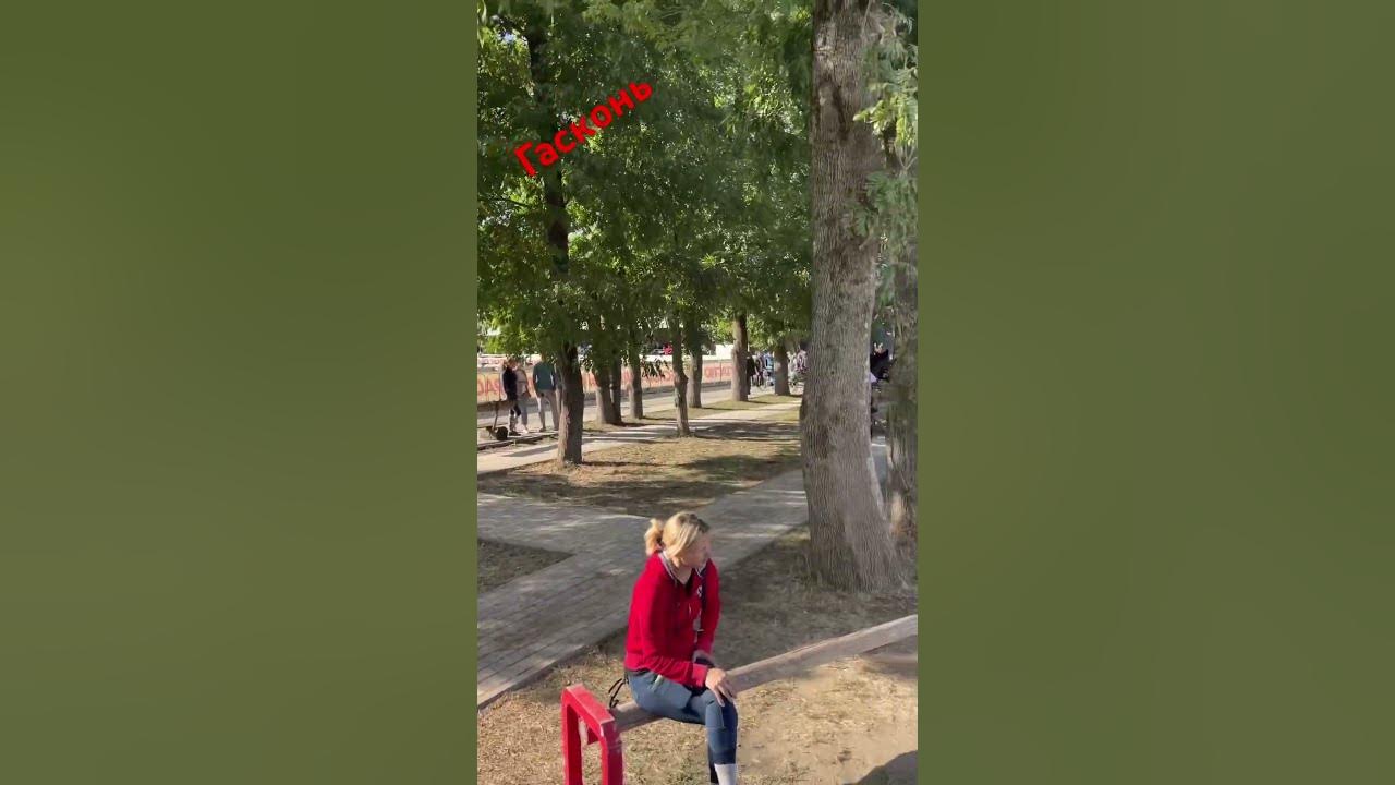 Лошади Гасконь Краснодар