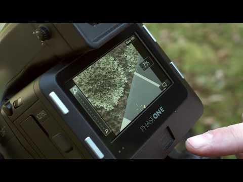 Setting the White Balance for the IQ2 with Michael Roscoe | Phase One