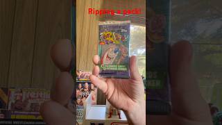 Ren and Stimpy foil pack