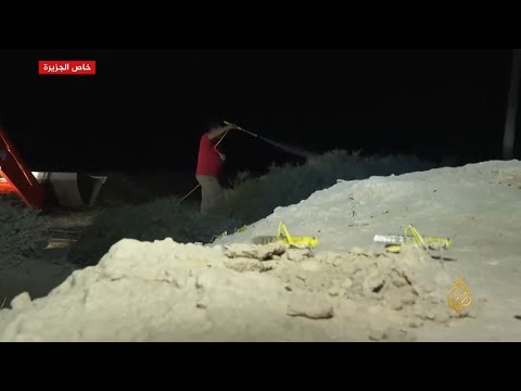 أسراب من الجراد الصحراوي تجتاح الأردن والزراعة تعلن الطوارئ