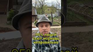 👉 95% сеют морковь неправильно! Сделай так и забудь про прореживание #морковь #огород  #садогород