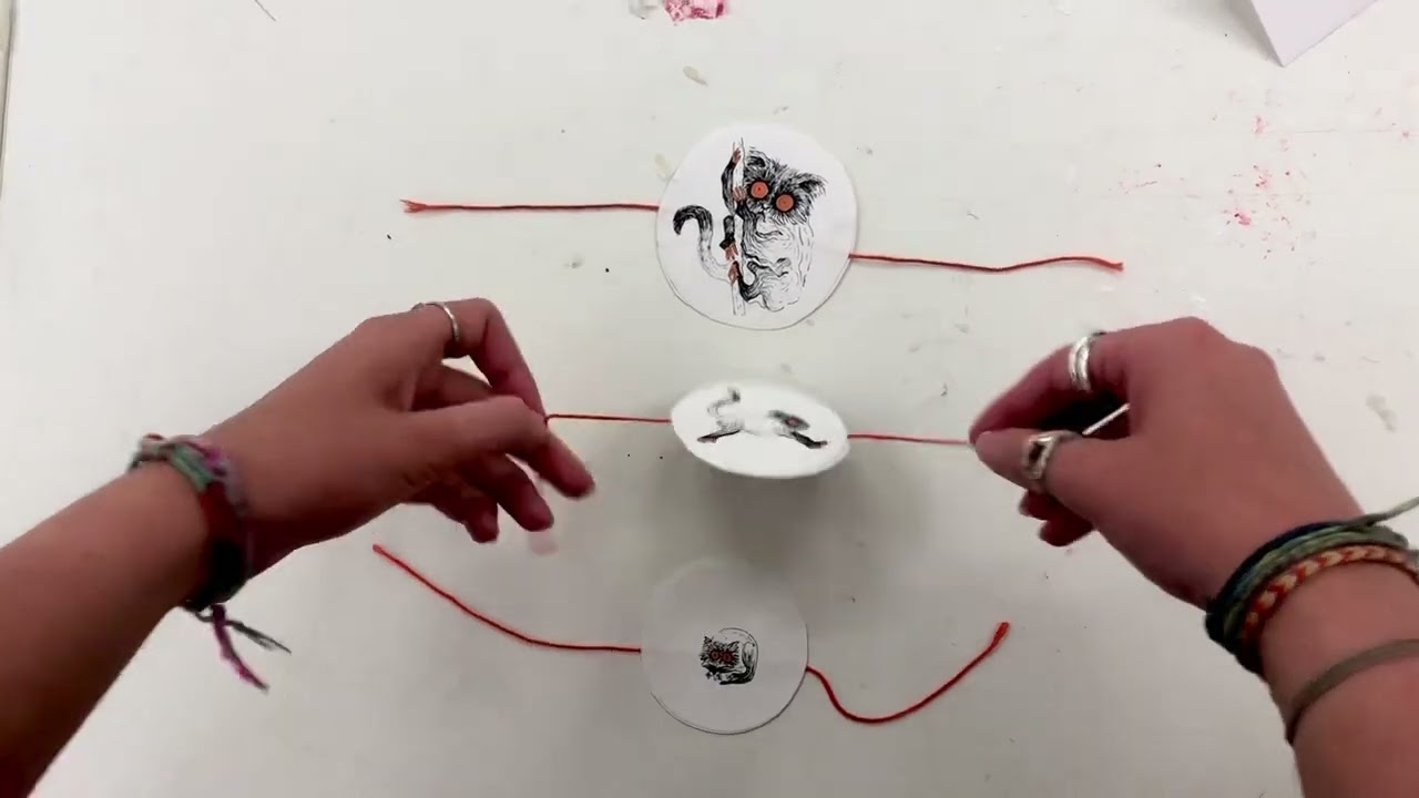 Slow loris thaumatropes