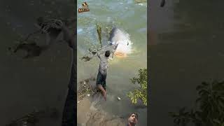 amazing big fishing video in the river 🐟#fishing #viralvideo #fish #bigfish #nature #shorts #vlog