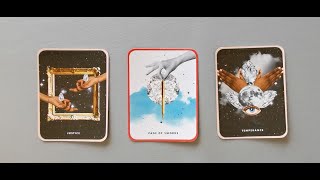 tarot: chọn tụ bài: bạn 1 năm nữa: làm gì, ở đâu, với ai?