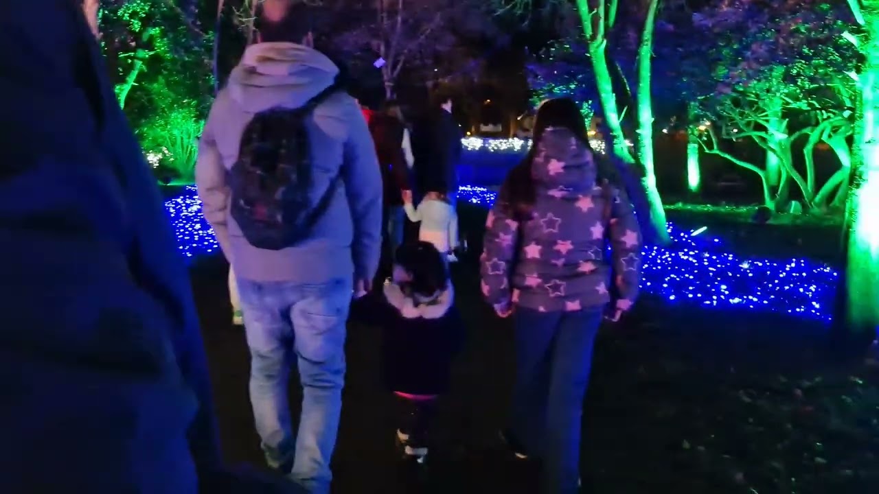 Espectaculo de Navidad en Cartes 2025