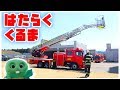 【消防車】はしご車に乗って30mの高さまで登ってみたよ！【はたらくくるま（働く車）】【危機一髪】【千葉市消防局】