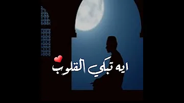تتجافى جنوبهم عن المضاجع يدعون ربهم شيخ ياسر الدوسري 