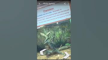 #Today#😱 I #found#😱🐍 a #dangerous#map 🐍snake 🐍on Google #earth  🐍 #earth #map 😱#googleearth 😱